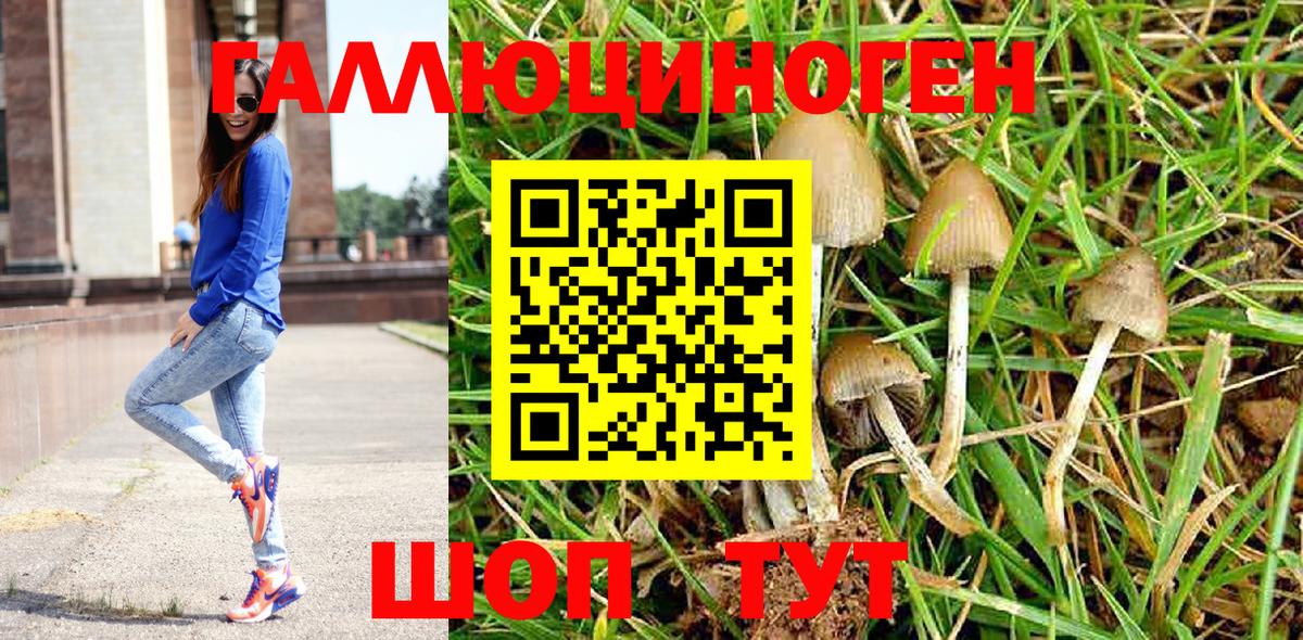 Псилоцибиновые грибы прущие грибы Альметьевск